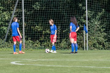 Bild 42 - wBJ HSV - SV Meppen : Ergebnis: 0:2